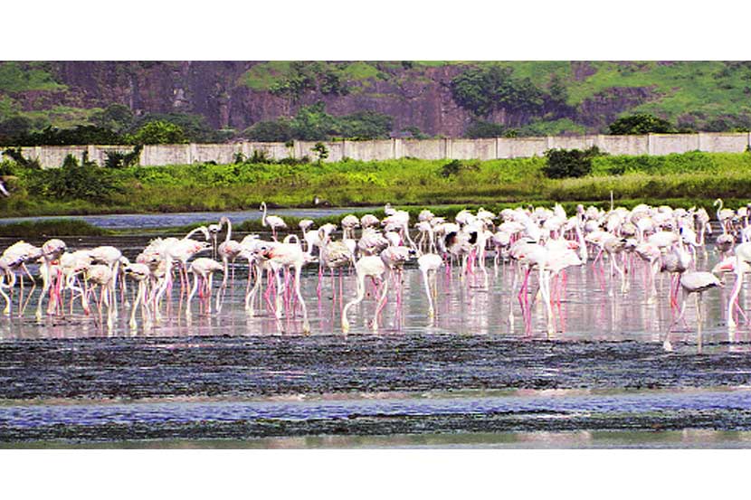 рдкрд░рджреЗрд╢реА рдкрд╛рд╣реБрдгреНрдпрд╛рдВрд╕рд╛рдареА рд╕рдВрд░рдХреНрд╖рд┐рдд рдкрдЯреНрдЯреЯрд╛рдЪреА рдЧрд░рдЬ рдкрд░рджреЗрд╢реА рдкрд╛рд╣реБрдгреНрдпрд╛рдВрд╕рд╛рдареА рд╕рдВрд░рдХреНрд╖рд┐рдд рдкрдЯреНрдЯреЯрд╛рдЪреА рдЧрд░рдЬ