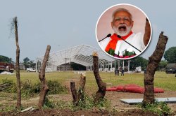 पुणे: मोदींच्या सभेसाठी खोडापासून झाडं कापली; महापौर म्हणतात फक्त फांद्याच तोडल्या