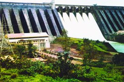 पावसामुळे धुळे जिल्ह्य़ातील धरणांच्या जलसाठय़ात वाढ