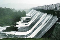 कळवळा फुकाचाच