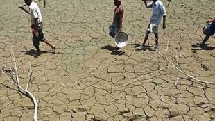 drought, drought in maharashtra, दुष्काळ