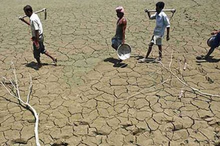 drought, drought in maharashtra, दुष्काळ drought, drought in maharashtra, दुष्काळ