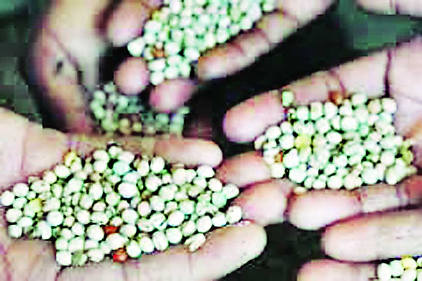 ‘जीएम’चे राजकीय दुष्परिणाम