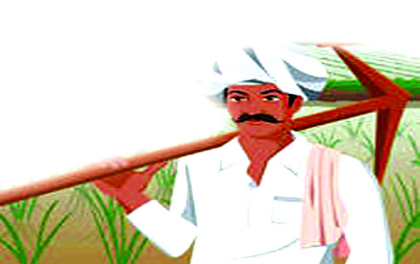 शेतकऱ्यांच्या दुखावर धूळपेरणी!