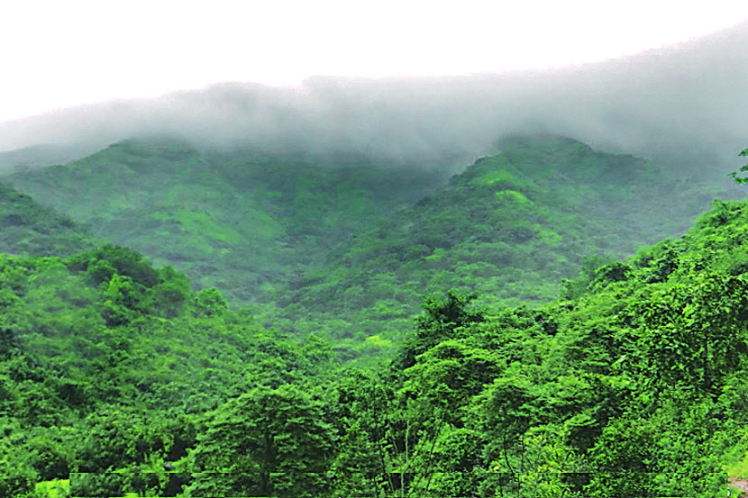 फुललेला राजगड