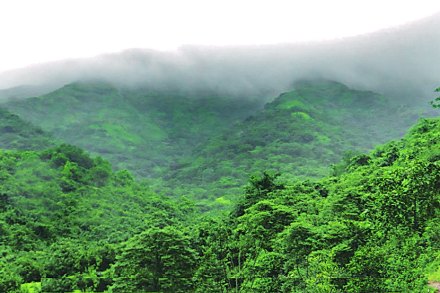 फुललेला राजगड