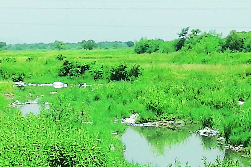 थर्माकोलच्या मखरांमुळे खाडय़ांमध्ये प्रदूषण