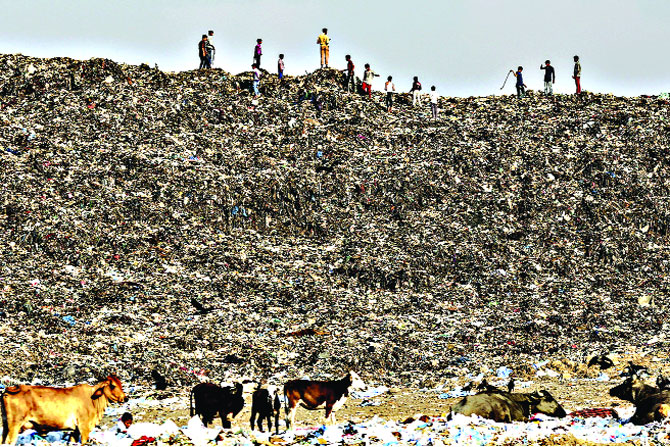 मुंबईतील सात हजार मेट्रिक टन कचऱ्याची विल्हेवाट नियमबाह्य़! मुंबईतील सात हजार मेट्रिक टन कचऱ्याची विल्हेवाट नियमबाह्य़!