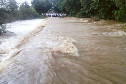 हस्त नक्षत्राचा सांगलीत तळ हस्त नक्षत्राचा सांगलीत तळ