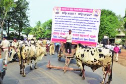 एकलहरे औष्णिक प्रकल्पासाठी रास्ता रोको