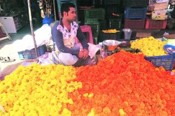 झेंडू-शेवंतीच्या दरांचे सीमोल्लंघन