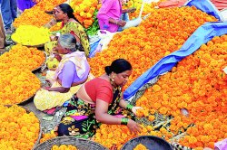 दसऱ्यानिमित्त सवलतींचा वर्षांव