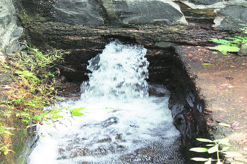 सिमेंट निघाल्याने दररोज लाखो लिटर पाण्याची गळती होत आहे.  सिमेंट निघाल्याने दररोज लाखो लिटर पाण्याची गळती होत आहे.