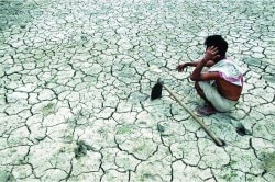 दुष्काळात मोजकाच विदर्भ असल्याने नाराजी