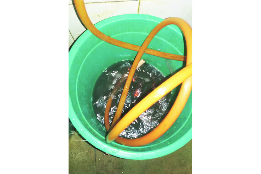 गिरगावकरांच्या मुखी मलयुक्त पाणी गिरगावकरांच्या मुखी मलयुक्त पाणी