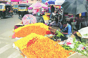 पारंपरिक बाजारात झेंडूचे भाव कडाडले पारंपरिक बाजारात झेंडूचे भाव कडाडले