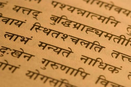पाश्चात्य विद्वानाकडून संस्कृत व्याकरणाचा पाठ! जगभरात ‘थेट प्रक्षेपण’