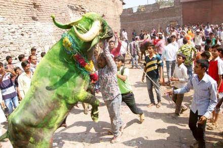 हेल्यांचा सगर उत्साहात हेल्यांचा सगर उत्साहात