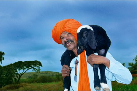 गुलाबी थंडीवर आभाळाचे सावट