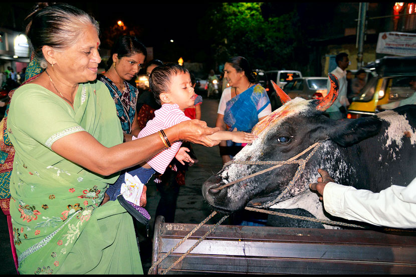 गोपूजनाने झगमगत्या दीपोत्सवाचा प्रारंभ