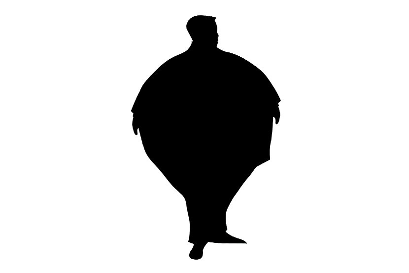 स्थूल व्यक्ती कोण हे साधारणत: नजरेने समजत असले तरी जाड दिसणारी प्रत्येक व्यक्ती स्थूल असेलच असे नाही. स्थूल व्यक्ती कोण हे साधारणत: नजरेने समजत असले तरी जाड दिसणारी प्रत्येक व्यक्ती स्थूल असेलच असे नाही.