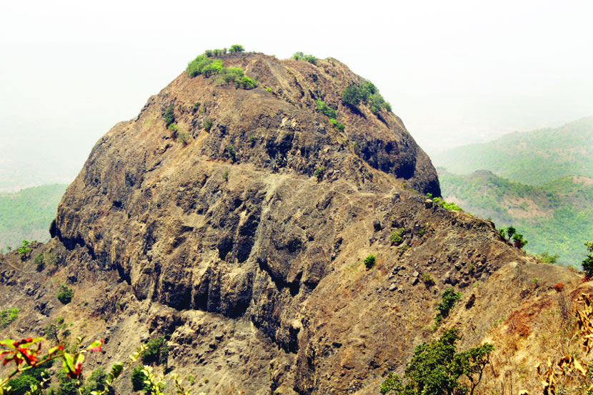 जंगली जयगडला जाण्यासाठी कराडमार्गे कोयनानगरला पोहोचावे.