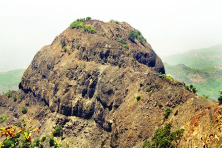 जंगली जयगडला जाण्यासाठी कराडमार्गे कोयनानगरला पोहोचावे.