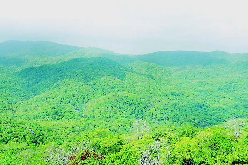 येऊर म्हणजे ठाणे शहराचे वैभव! उत्तर मुंबई आणि ठाणे शहर यांच्या मधोमध ‘संजय गांधी राष्ट्रीय उद्यान’ वसलेले आहे. येऊर म्हणजे ठाणे शहराचे वैभव! उत्तर मुंबई आणि ठाणे शहर यांच्या मधोमध ‘संजय गांधी राष्ट्रीय उद्यान’ वसलेले आहे.