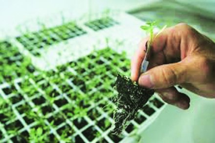 कृषी संशोधक निवड मंडळाची राष्ट्रीय पात्रता परीक्षा