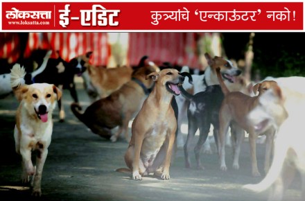 शहरातील वाढत्या कचरासमस्येबरोबरच कुत्र्यांची समस्याही वाढताना दिसते.
