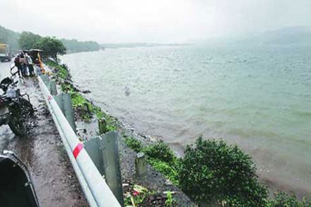 कोयनेतील कपातीमुळे नदीकाठची ऊसशेती धोक्यात
