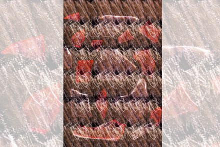 कलाजाणीव कलाजाणीव