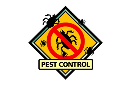 घरात पेस्ट कंट्रोल केल्याने तरुण-तरुणीचा गुदमरून मृत्यू. घरात पेस्ट कंट्रोल केल्याने तरुण-तरुणीचा गुदमरून मृत्यू.