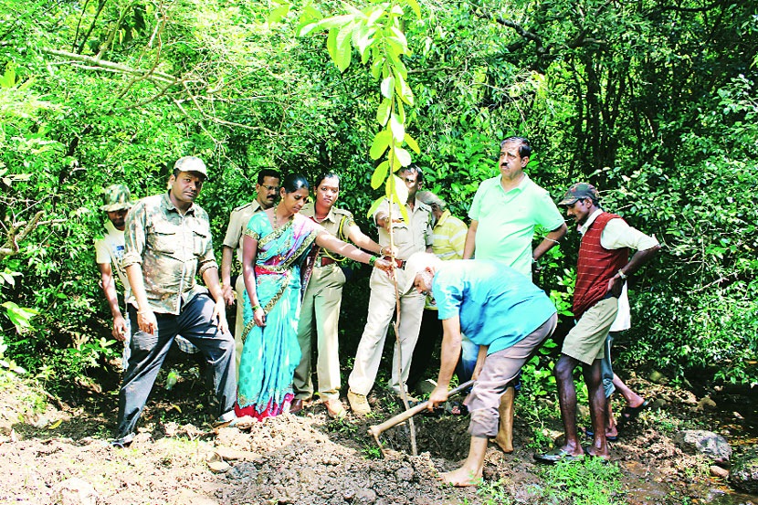 рд╕рдВрдЧреНрд░рд╣рд┐рдд рдЫрд╛рдпрд╛рдЪрд┐рддреНрд░ рд╕рдВрдЧреНрд░рд╣рд┐рдд рдЫрд╛рдпрд╛рдЪрд┐рддреНрд░