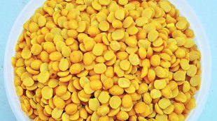 turdal, तुरडाळ
