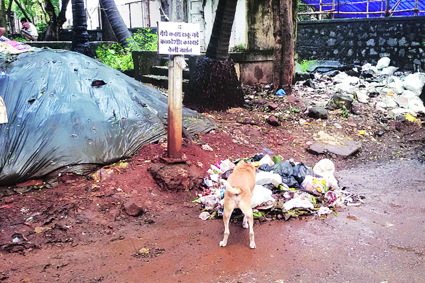 ‘कचरा टाकू नये!’च्या सूचना फलकाखाली कचरा टाकण्यात आला आहे.
