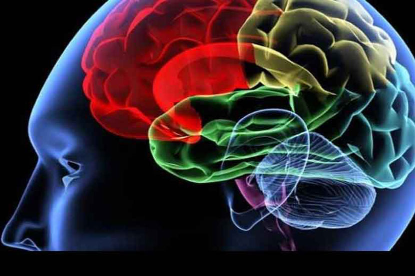 कृत्रिम न्यूरॉन्सचे जाळे तयार करून त्याच्या माध्यमातून मानवी भाषेने संवाद साधणारे बोधनात्मक प्रारूप तयार करण्यात वैज्ञानिकांना यश आले आहे. कृत्रिम न्यूरॉन्सचे जाळे तयार करून त्याच्या माध्यमातून मानवी भाषेने संवाद साधणारे बोधनात्मक प्रारूप तयार करण्यात वैज्ञानिकांना यश आले आहे.