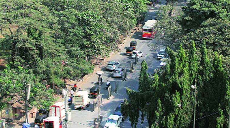 ‘आरे’ वनक्षेत्र घोषित करण्यास विरोध