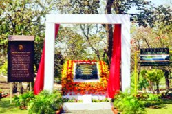 गोरेवाडा बचाव केंद्रात प्राणी आणण्याच्या हालचालींना वेग