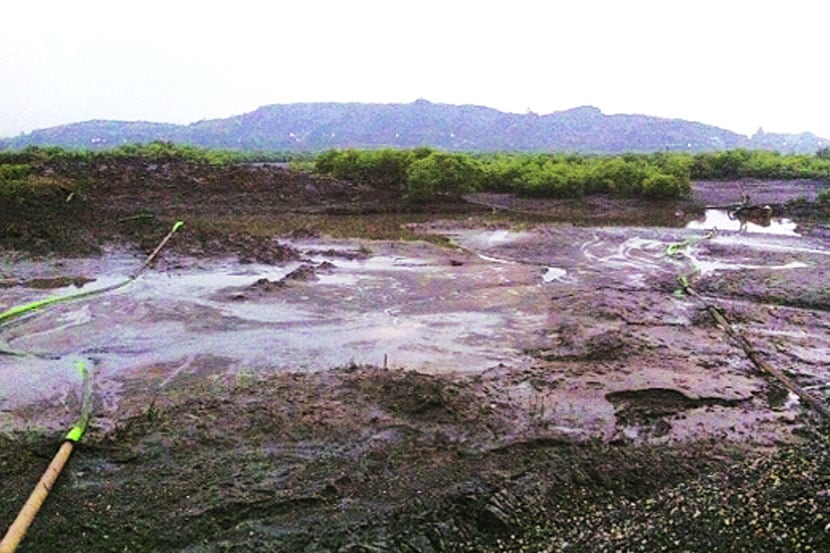 या सगळ्याची दखल घेत तसेच सरकारच्या भूमिकेबाबत न्यायालयाने संताप व्यक्त केला. या सगळ्याची दखल घेत तसेच सरकारच्या भूमिकेबाबत न्यायालयाने संताप व्यक्त केला.