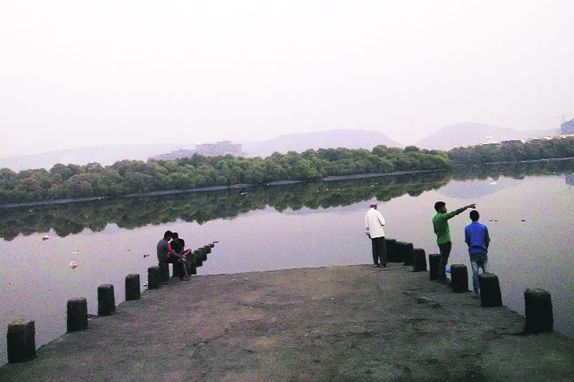 मनमोहक ठाणे खाडी! मनमोहक ठाणे खाडी!