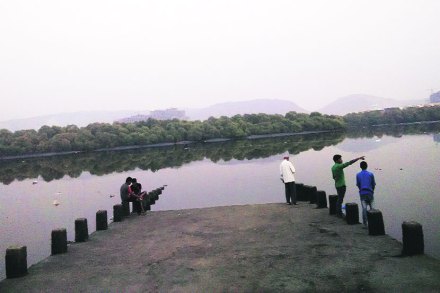 मनमोहक ठाणे खाडी! मनमोहक ठाणे खाडी!