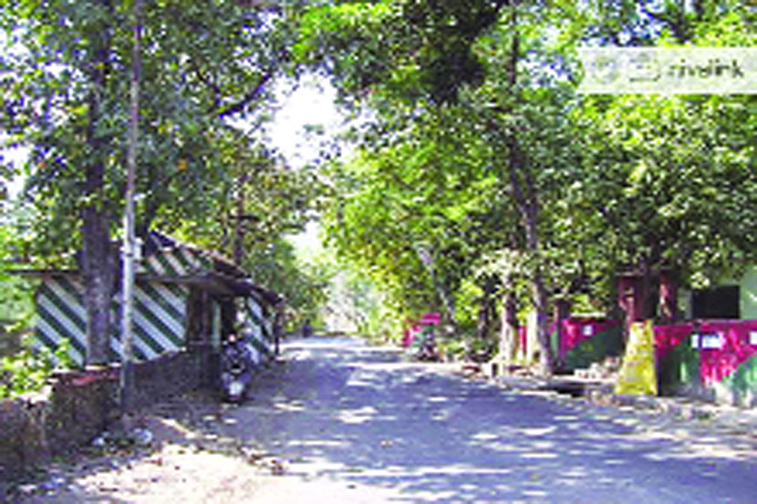 येऊर