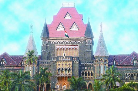 न्यायमूर्ती नरेश पाटील आणि न्यायमूर्ती एस. बी. शुक्रे यांच्या खंडपीठाने शेतकऱ्यांची गाऱ्हाणी ऐकल्यानंतर न्यायालयाने उपस्थित असलेल्या सरकारी अधिकाऱ्यांचीच झाडाझडती घेत त्यांना या सगळ्याचा जाब विचारला.