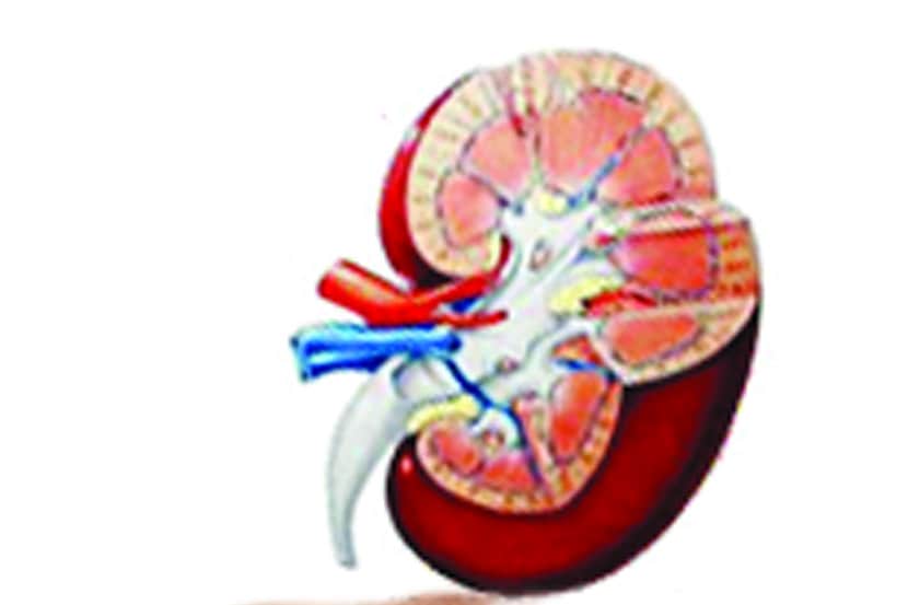अवयव तस्करीचा गुन्हा दाखल अवयव तस्करीचा गुन्हा दाखल