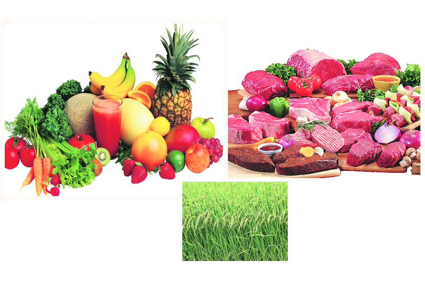 अन्नदाता निसर्ग अन्नदाता निसर्ग