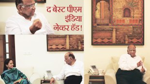 Sharad Pawar, शरद पवार राजकारण