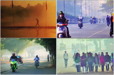 नाशिकमध्ये थंडीचा मुक्काम