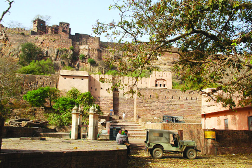 टायगर सफारी