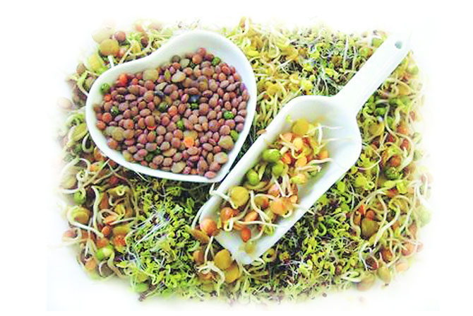 थंडीतील सर्वसाधारण आहार